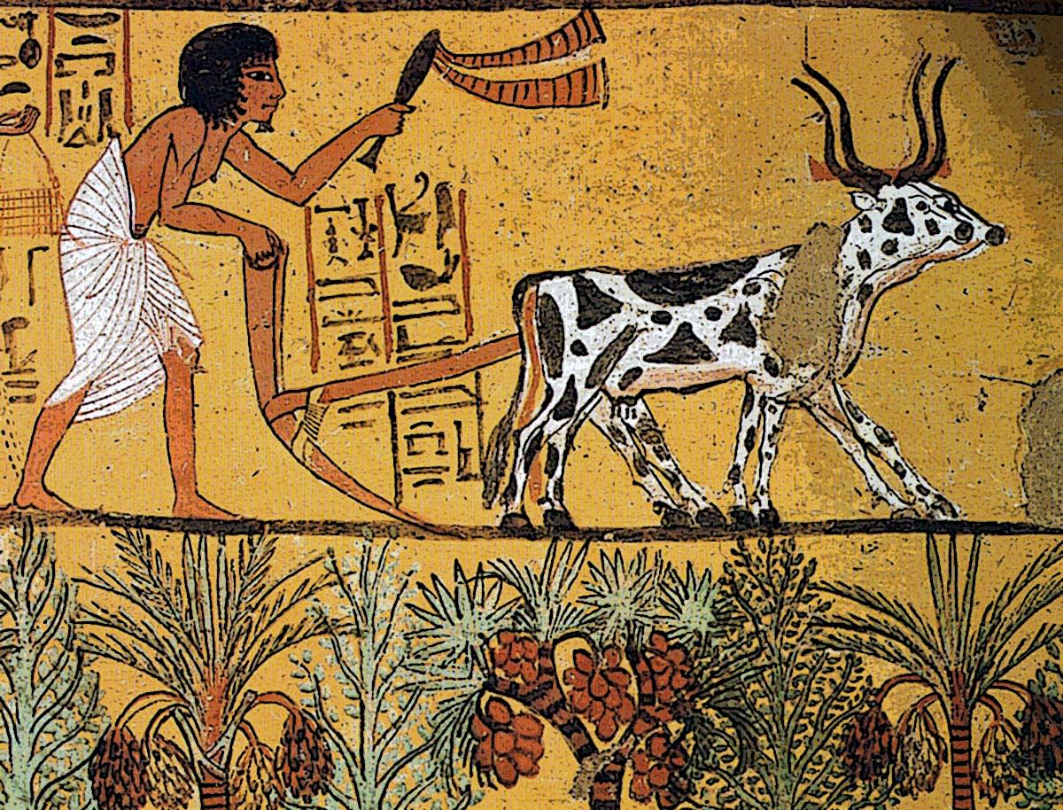 The Significance Of Joseph’s Name