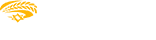 Israel Bible Center