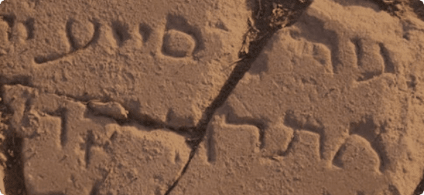 Dive into the bible texts