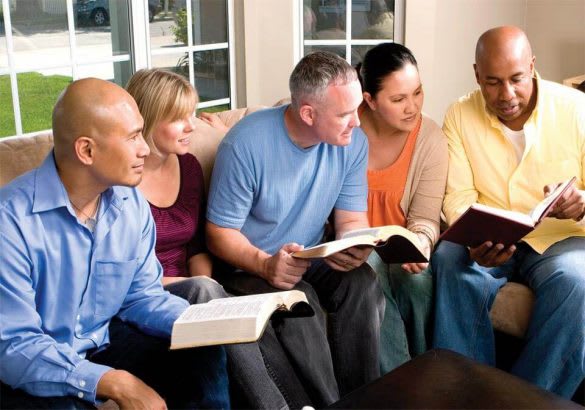 Forum Support and Peer Discussions